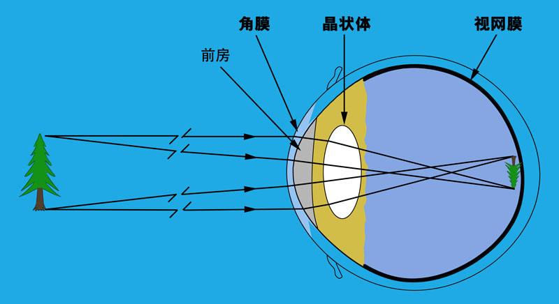 sea-eye-diagram