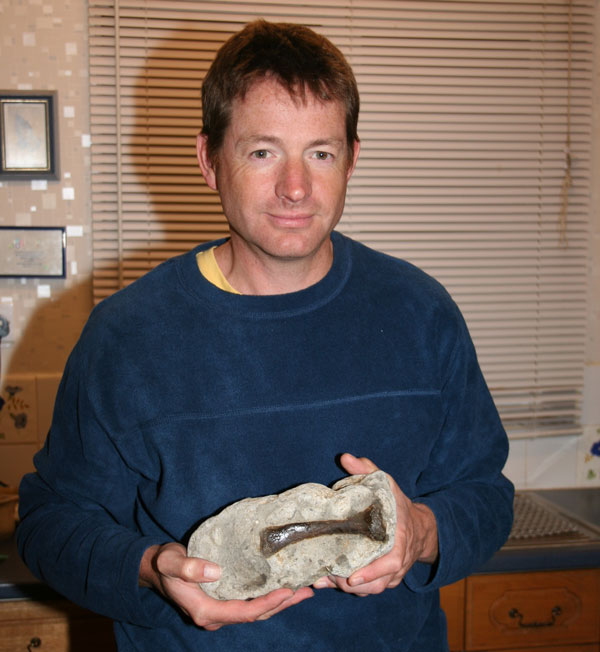 the fossil find