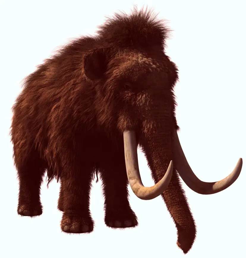 woolly-mammoth