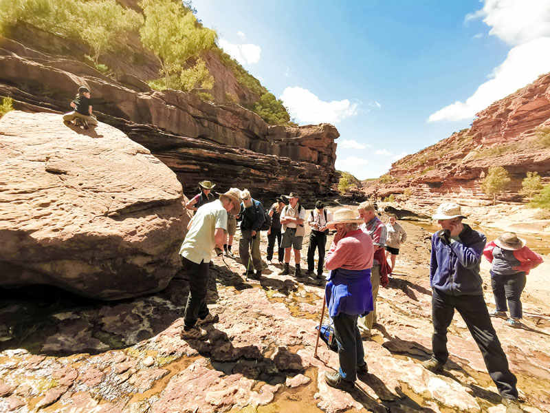 默奇森河峡谷